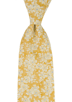 AFFECTIONATE YELLOW solmio