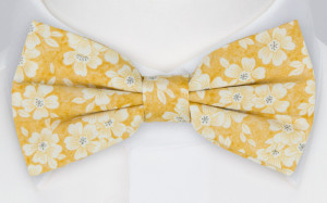 AFFECTIONATE YELLOW solmuke