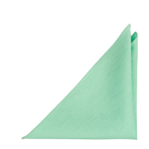 BASKETVEIL Mint taskuliina