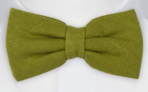 BITTERSWEET Green solmuke