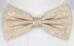 ENCHANTMENT CHAMPAGNE solmuke