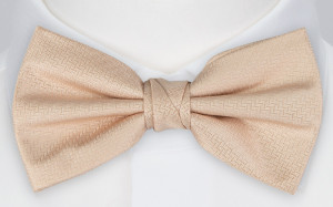 Espousal Champagne Pink solmuke