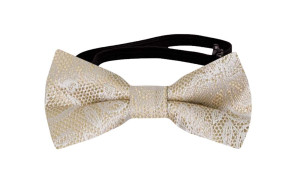EVERAFTER Champagne gold vauvan solmuke