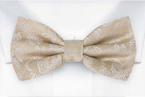 EVERAFTER Champagne gold solmuke