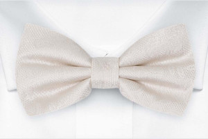 EVERAFTER Ivory solmuke