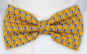 BOCCAGLIO Yellow solmuke