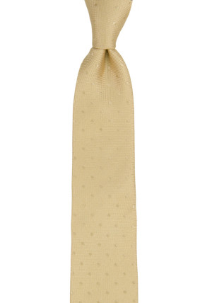 BRUDGUM CHAMPAGNE kapea solmio