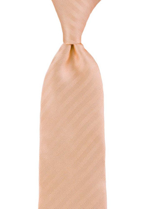 JAGGED Apricot solmio
