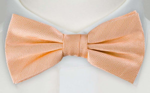 JAGGED Apricot solmuke