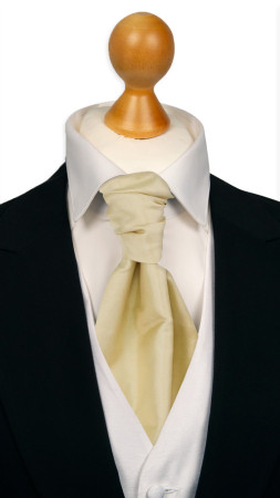 SOLID Champagne sidottu plastron
