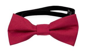 SOLID Fuchsia vauvan rusetti