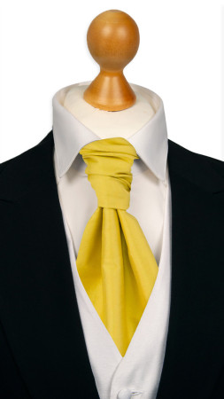 SOLID Lemon sidottu plastron