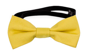 SOLID Lemon vauvan rusetti