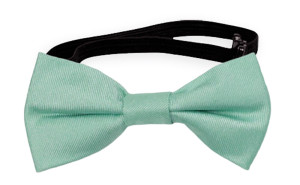 SOLID Light turquoise vauvan rusetti