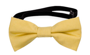 SOLID Light yellow vauvan rusetti