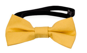 SOLID Yellow vauvan rusetti