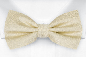 ORNATE Champagne lasten solmuke