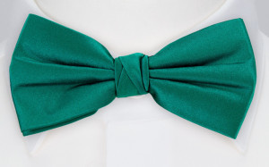 SATIN PERSIAN GREEN solmuke