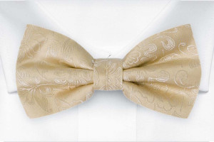 SAVETHEDATE Champagne solmuke