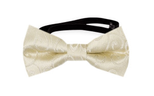 SNAZZY Champagne vauvan solmuke