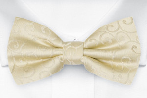 SNAZZY Champagne solmuke