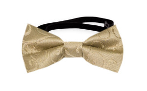 SNAZZY Gold vauvan solmuke