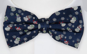 SNOWFALLEN BLUE solmuke