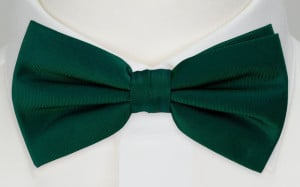 SOLID Dark green solmuke