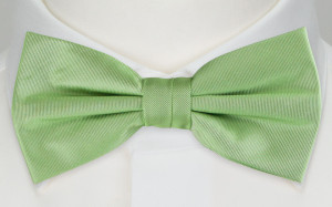 SOLID Light green solmuke