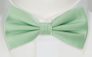 SOLID Pastel green solmuke