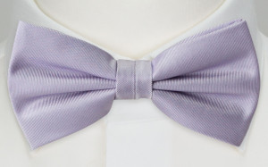 SOLID Powder purple solmuke