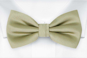 SOLID Sage green solmuke