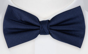 Solitary Navy solmuke