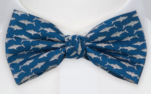 STAYSHARK BLUE solmuke