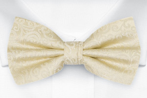 SWANKY Champagne lasten solmuke