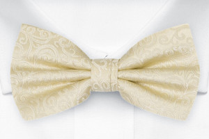 SWANKY Champagne solmuke