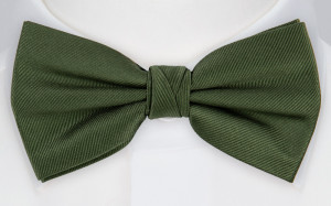 Twillie Seaweed Green solmuke