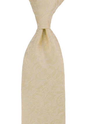 VIGSEL CHAMPAGNE solmio
