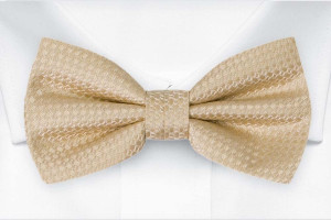 WEDLOCK Champagne solmuke